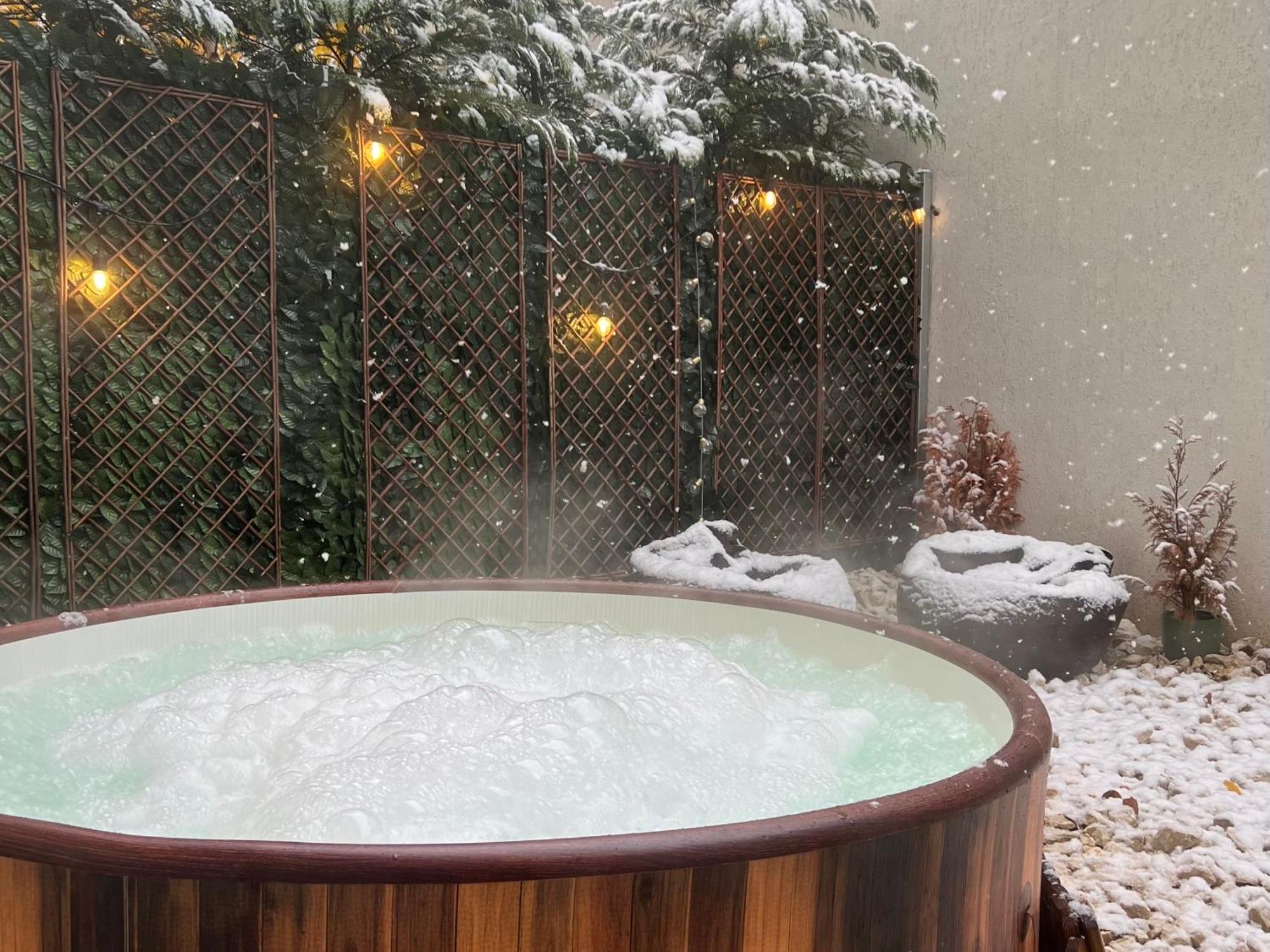 Downtown Hidden Garden With Jacuzzi In Bucharest公寓 外观 照片